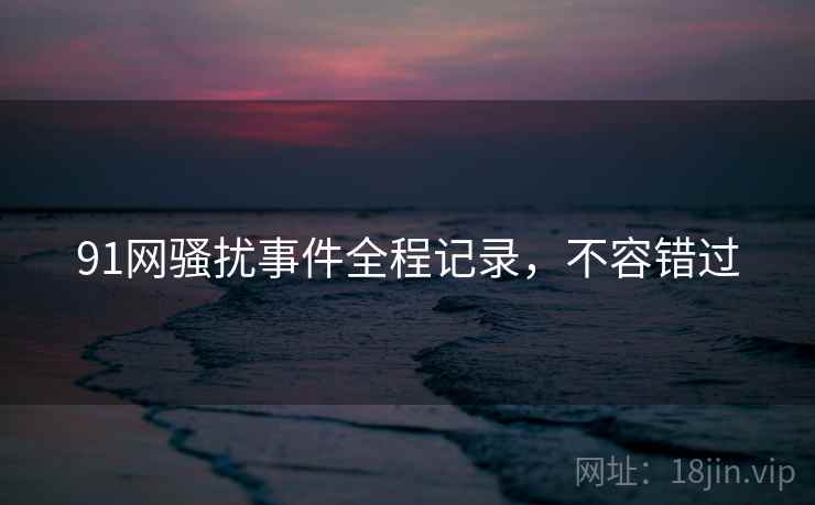 91网骚扰事件全程记录，不容错过
