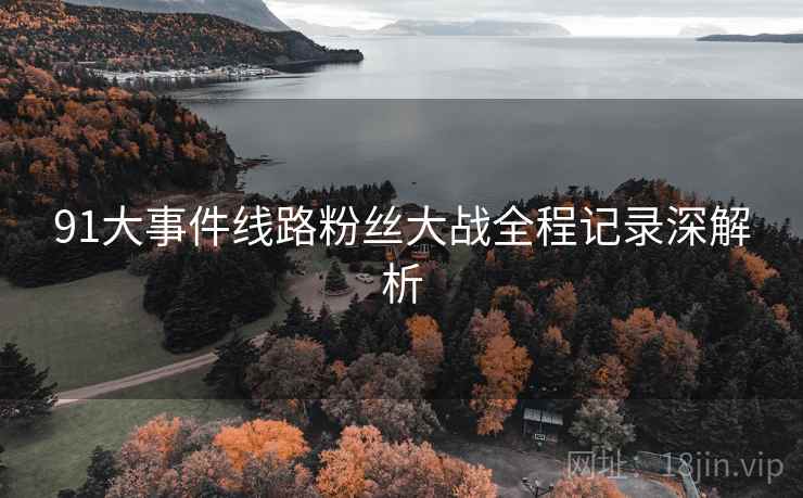 91大事件线路粉丝大战全程记录深解析