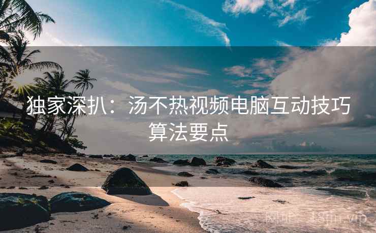 独家深扒:汤不热视频电脑互动技巧算法要点 独家深扒:汤不热视频电脑互动技巧算法要点