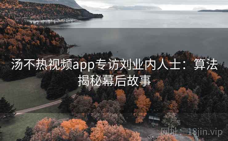汤不热视频app专访刘业内人士：算法揭秘幕后故事